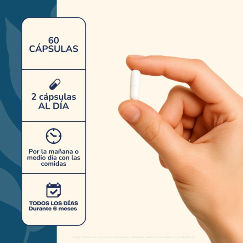 NAD+ Energía que se siente. Potencia que se nota.